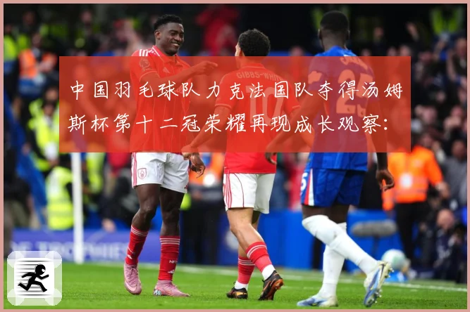中国羽毛球队力克法国队夺得汤姆斯杯第十二冠荣耀再现成长观察：最新赛事动态与深度分析
